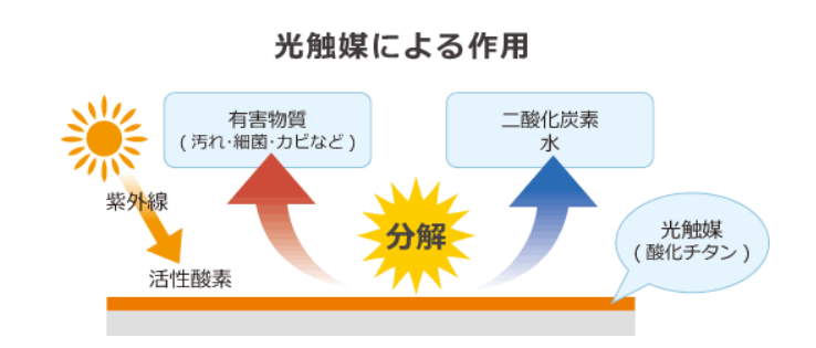 光触媒 カタリスト